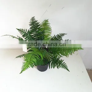 SJ3001023 Nice Quality Plastc Leaf for Home Decorations/fake Boston Fern Leaves thumbnail-2