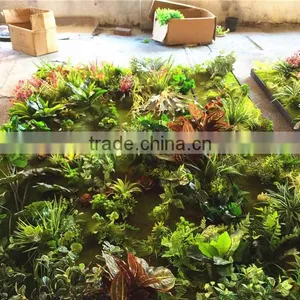 Home Garden Wedding Decoration 200cm*100cm Green Original Succulent With Moss Carpet Grass Wall E03 0506 thumbnail-6