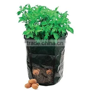Garden Green House Felt Grow Bags thumbnail-4