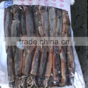 Indian Products of Illex Squid thumbnail-1