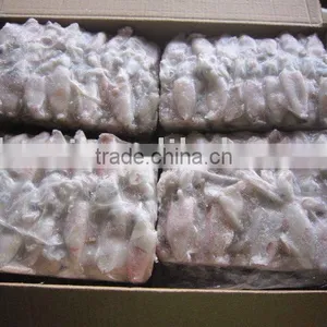 Frozen Squid (3-5cm) thumbnail-1
