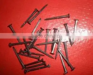Shoe Nails in Hardware thumbnail-1