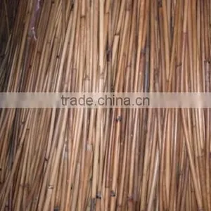Raw Rattan Red Malacca Canes thumbnail-2
