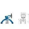 FBGXD342 Bi - Eccentric Wormed Soft Seat Butterfly Valve 0.6MPa, 1.0MPa, 1.6MPa thumbnail-1