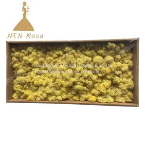 Hot Selling Green Moss Grass Wall for Decoration thumbnail-5