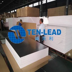 Fujian Tenlead Advanced Material Co., Ltd company overview - view 4 thumbnail