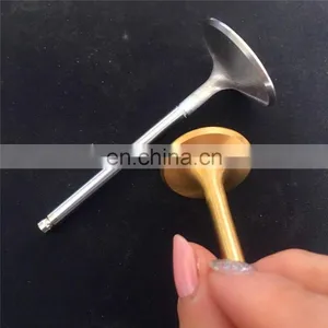New Discount Automotive Spare Parts Diesel Engine Valve For Asia Topic Towner 2009-2010 thumbnail-7