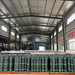 Hubei Huayu Waterproof Material Technology Co., Ltd company overview - view 1 thumbnail