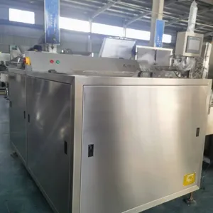 Large Capacity BPL-300 Bottle Unscrambler for Chemical and Beverage Packaging thumbnail-5