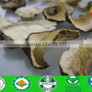 White Boletus Edulis Mushroom thumbnail-1