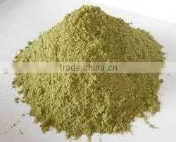 Best Quality Bermuda Grass(Cynodon Dactylon) Powder For Sales thumbnail-3