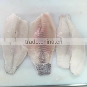 Frozen Tilapia Fillet Fish thumbnail-1