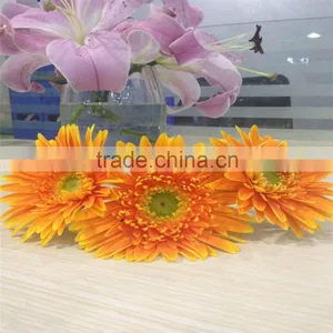 Cute Fresh Cut Gerbera Flower Preserved With Various Color thumbnail-3