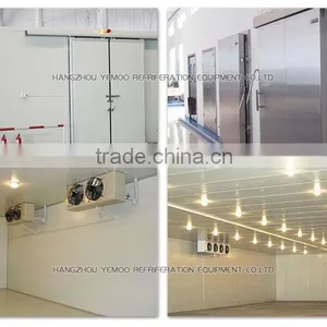 Zhejiang Hangzhou Yemoo Industrial Upright Commercial Freezer Price thumbnail-2