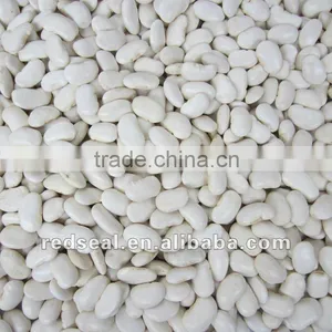 Low Price Large White Kidney Beans thumbnail-1