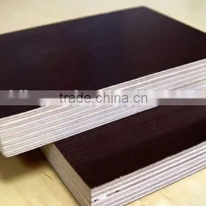 Hot Sell Best Quality Waterproof Shuttering Film Faced Birch Plywood thumbnail-2