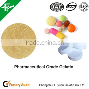 China Supply Best Price Medical Gelatin thumbnail-6
