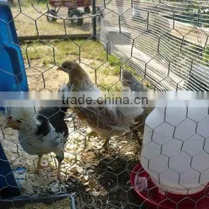 Galvanized Pvc Coated Bird/chicken Cage Wire Mesh/netting With High Quality Low Price thumbnail-1