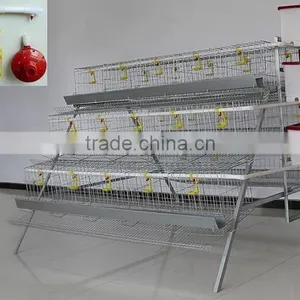 Solar Egg Incubator for 500eggs Fully Automatic Chicken Egg Incubator CE Approved Egg Incubator thumbnail-5