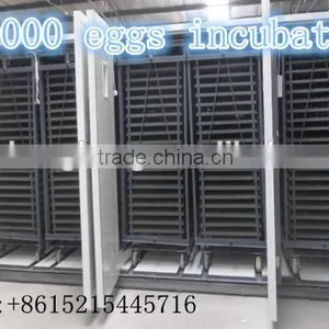 3 Year Warranty Automatic 30000 Poultry Chicken Egg Incubator for Sale Philippines thumbnail-1