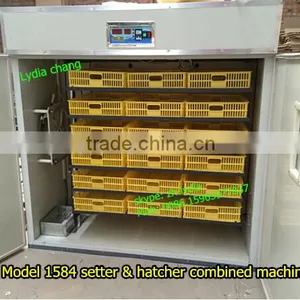 New Type 1584 Chicken Incubator With CE,setter&hatcher Combined Egg Incubator From Lydia thumbnail-1