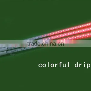 2016 REALLY Hot Selling Christmas 3d Disco Smd5050 Programmable Led Christmas Lights thumbnail-3
