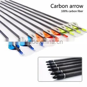 Carbon Arrows, GPI 9.5, SPINE 300 thumbnail-1