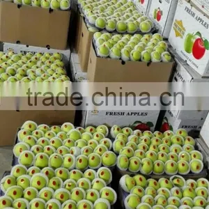 Green Gaga Apple thumbnail-3