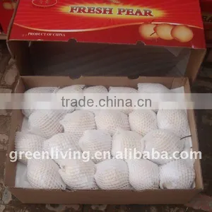 Chinese Best Fresh ya Pear (fruits) thumbnail-1