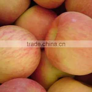 Fresh Fuji Apple thumbnail-1