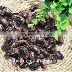 Black Kidney Beans, Beans Wholesale Price thumbnail-1