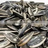 Direct Factory Supply Bulk Organic Sunflower Seeds thumbnail-1