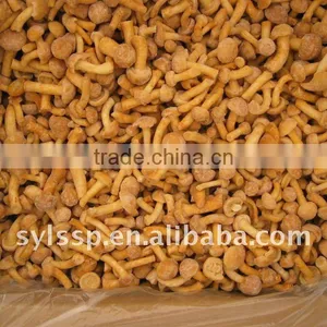 IQF Nameko thumbnail-1