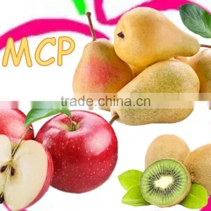 1-Methylcyclopropene Slow Down the Ripening Speed of Fruits thumbnail-1