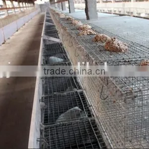 Animal Cage Mink Cage For Sale thumbnail-6