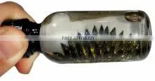 New Hot Sale Amazing Liquid High Strength High Viscous Magnetic Fluid thumbnail-2