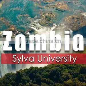 INEO Successful University Canteen Projects In Zambia thumbnail-1