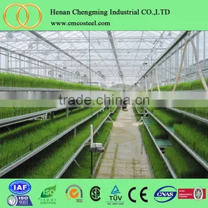 Cheap Polycarbonate Agricultural Greenhouse , Low Cost Tunnel Plastic Greenhouse for Sale thumbnail-5