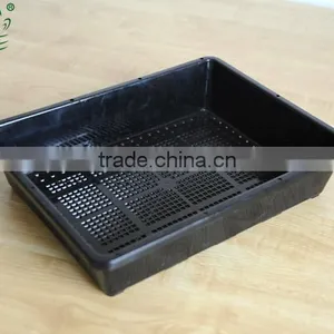 Plastic Tray Without Holes Seedling Wholesale thumbnail-3
