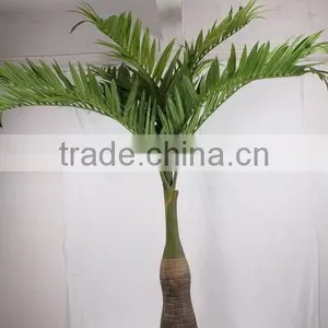SJ2001205 Home Indoor Using Cocount Plam Tree Factory Outlet thumbnail-5