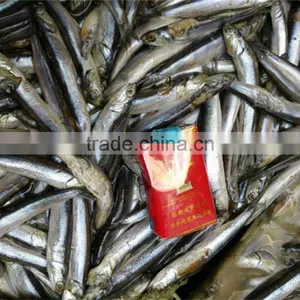 2016 High Quality Sea Frozen Anchovy thumbnail-6
