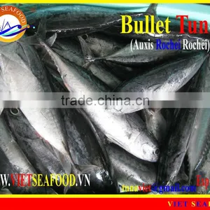 W/R FROZEN BULLET TUNA thumbnail-1