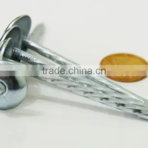 Zinc Roofing Nails for Kenya Market thumbnail-5