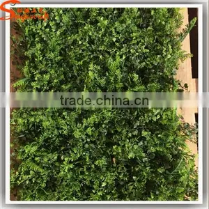 Latest Design Popular Modular Green Wall Vertical Garden Plastic Vertical Green Wall for Hotel or Home Decoration thumbnail-5