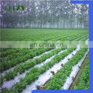 China Factory Pla Biodegradable Material for Good Using thumbnail-5