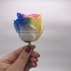 Preserved Rose Preserved Flowers Dried Flowers Birthday Valentine Party Wedding thumbnail-2
