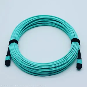 MPO/MTP Trunk Optical Patch Cord Brellet thumbnail-4