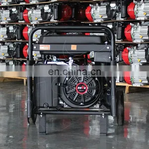 5Kva Lpg Generator Ohv Gx390 5Kw Biogas Engine Generator thumbnail-4