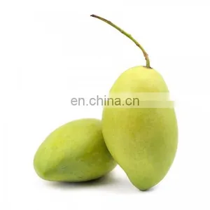 High Quality Fresh Mango Export Originating From Vietnam thumbnail-4