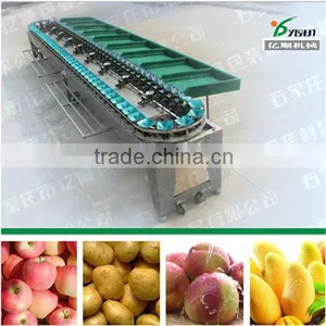 Avocado Fruit Sorting Machine thumbnail-5